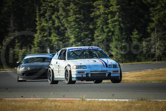 3CRX_SCCATNiA_MCMD_2024_0807-1