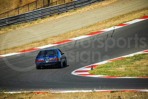 BFBM_Turn2_MCMD_2025_0713-7