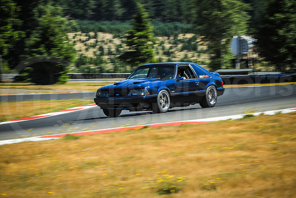 BFBM_Turn2_MCMD_2025_0713-5