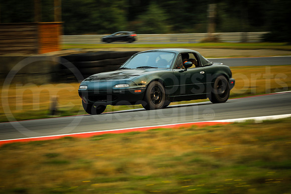 GNDM_Turn2_MCMD_2024_0907-2