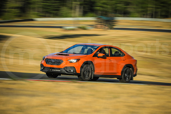 OWRX_SCCATNiA_MCMD_2025_0813-1