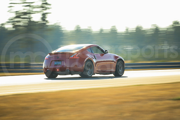 R37Z_SCCATNiA_MCMD_2024_0807-3