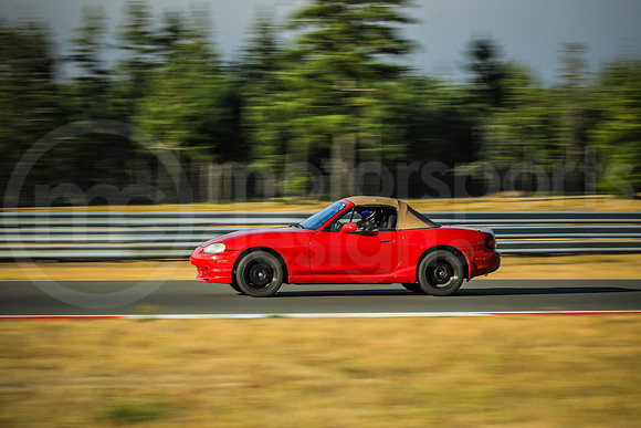 RNAT_SCCATNiA_MCMD_2025_0813-3