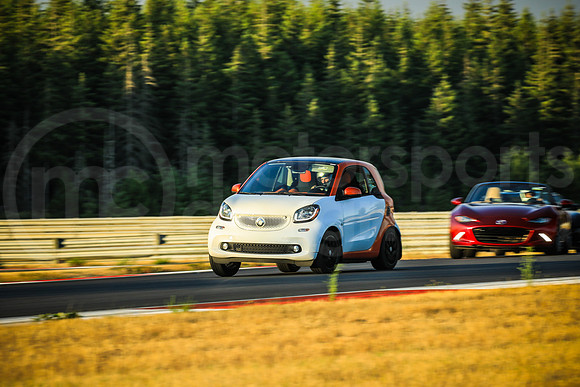 WS42_SCCATNiA_MCMD_2025_0813-6