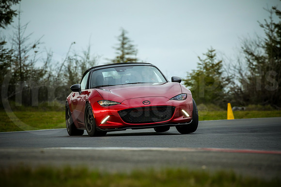 RNDM_SCCA_MCMD_2024_0424-8
