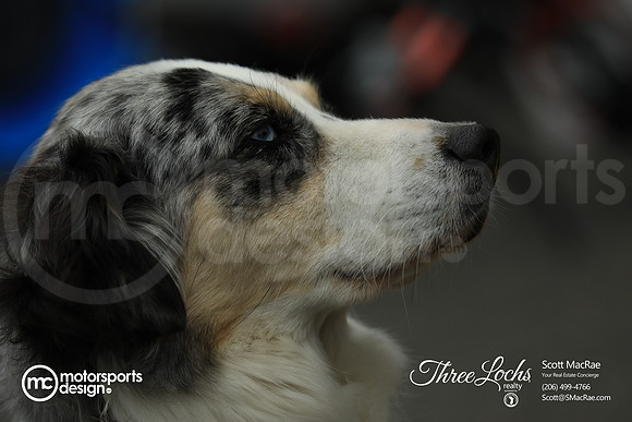 Paddock_ACNW_MCMD_2024_0810_w-110
