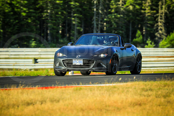GNDM_SCCA_MCMD_2022_0712-1