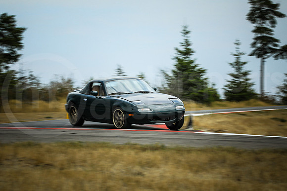 GNAM_Turn2_MCMD_2024_0817-9
