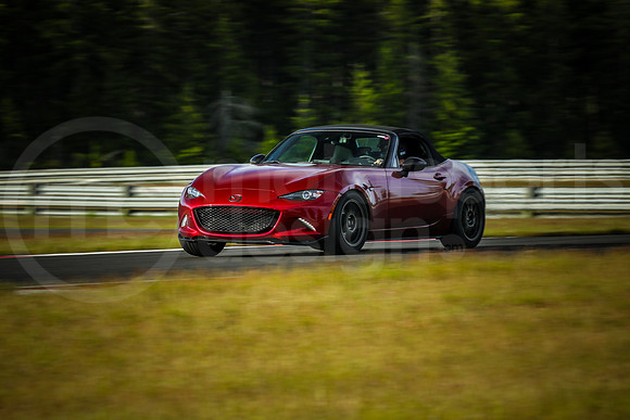 RNDM_SCCA_MCMD_2024_0612-6