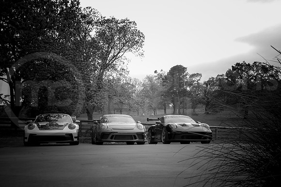 DM_SmokiesGT_MCMD_2024-50