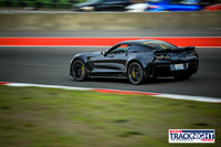 B06C_SCCATNiA_MCMD_2022_0428_w-1