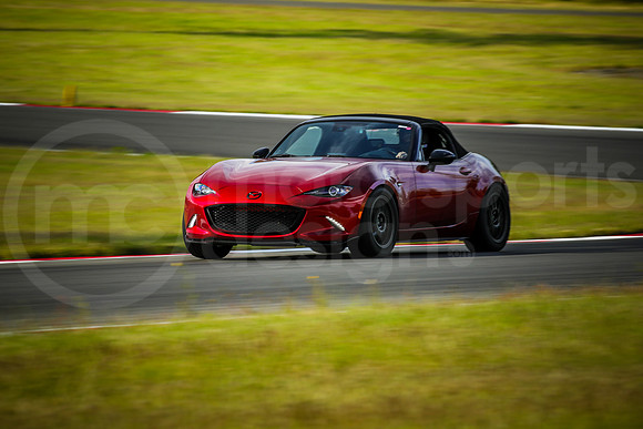 RNDM_SCCA_MCMD_2024_0612-1