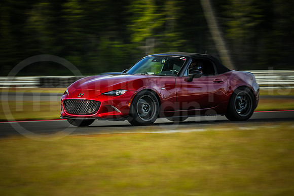 RNDM_SCCA_MCMD_2024_0612-7