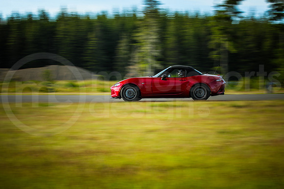 RNDM_SCCA_MCMD_2024_0612-8