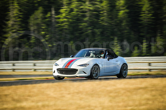 WMMS_SCCATNiA_MCMD_2025_0618-6