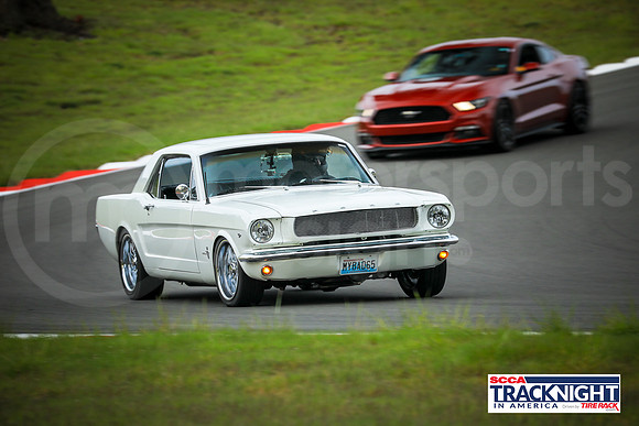 W65M_SCCATNiA_MCMD_2022_0428_w-9
