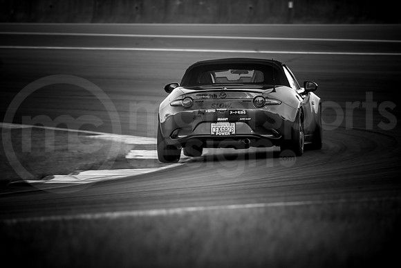 RNDM_SCCA_MCMD_2024_0612-13