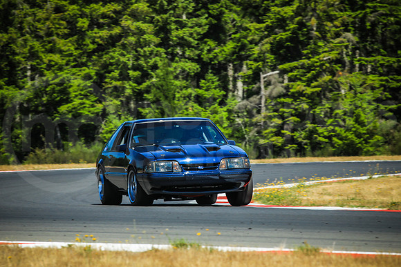 BFBM_Turn2_MCMD_2025_0713-12