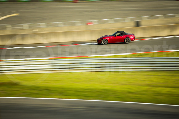 RNDM_SCCA_MCMD_2024_0424-9