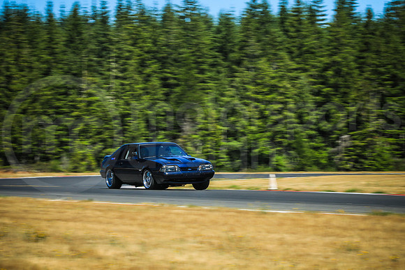 BFBM_Turn2_MCMD_2025_0713-8