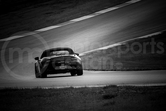 RNDM_SCCA_MCMD_2024_0612-5