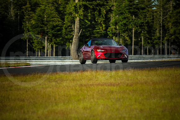 RNDM_SCCA_MCMD_2024_0612-9