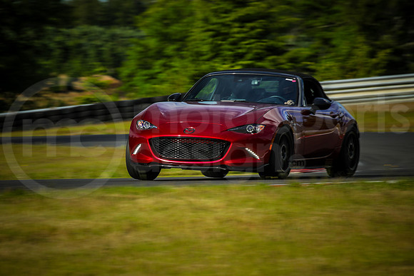 RNDM_SCCA_MCMD_2024_0612-3