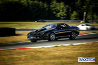 BDBC_SCCATNiA_MCMD_2025_0723_w-1