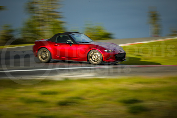 RNDM_SCCA_MCMD_2024_0424-10